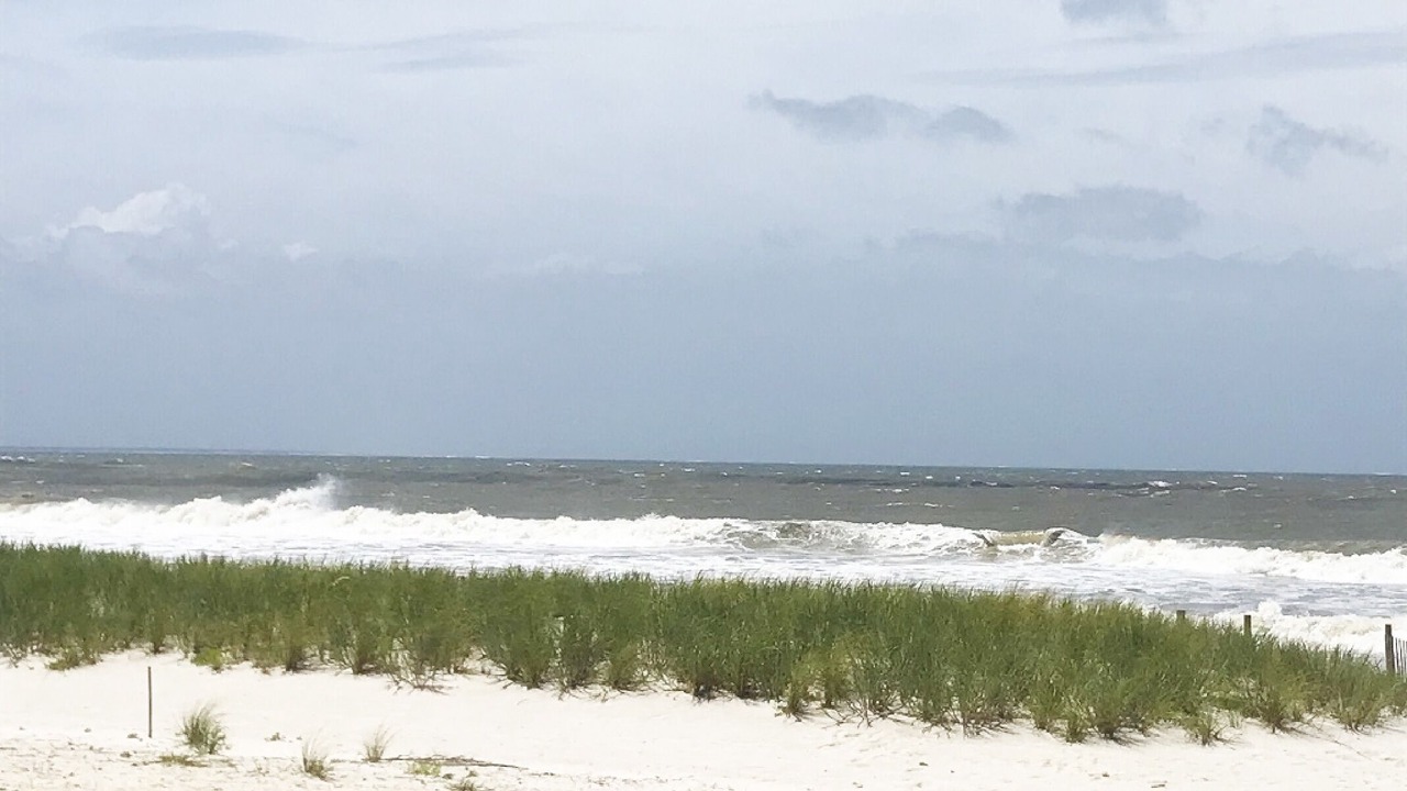 Photo of Others in Mexico Beach