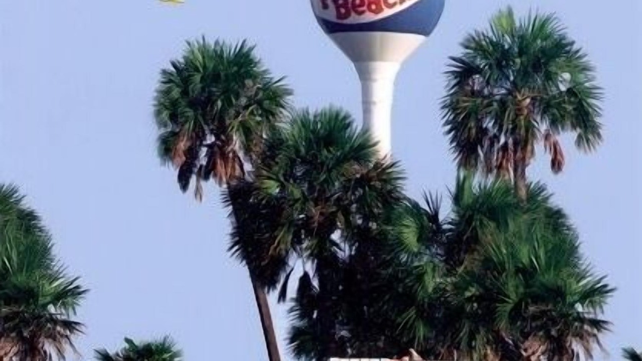 Photo of Others in Pensacola Beach