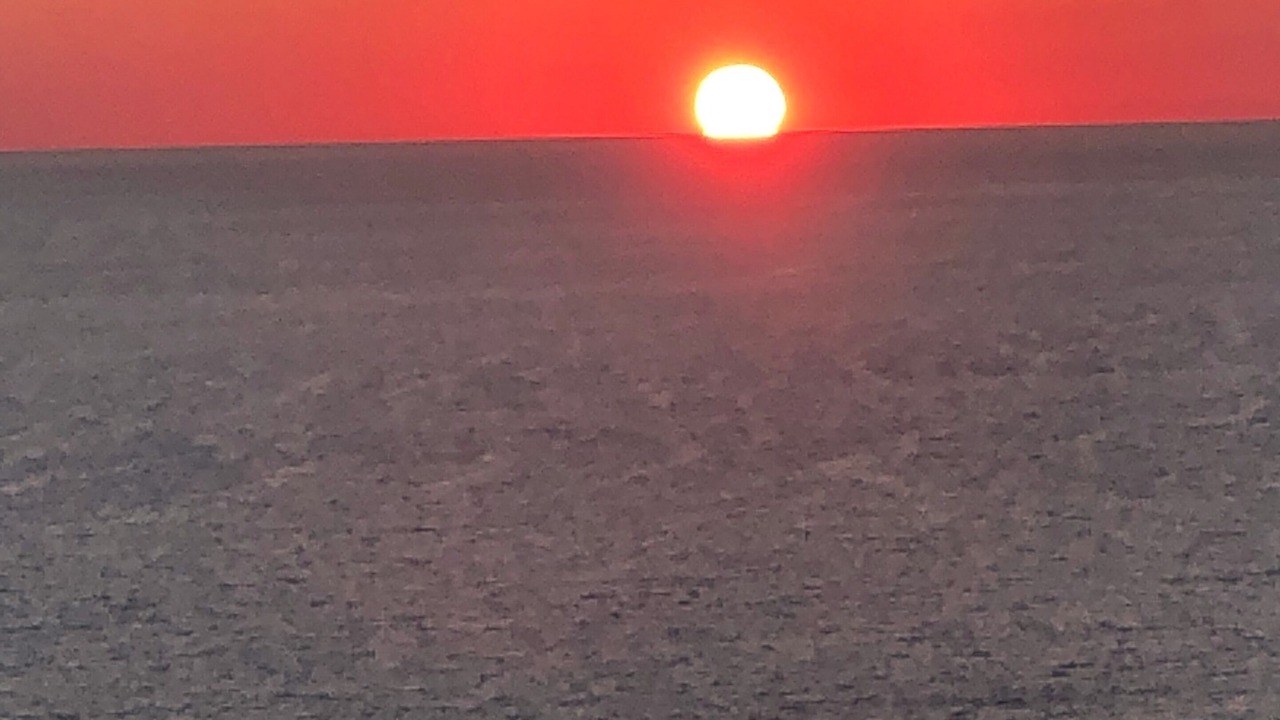Photo of Others in West Panama City Beach
