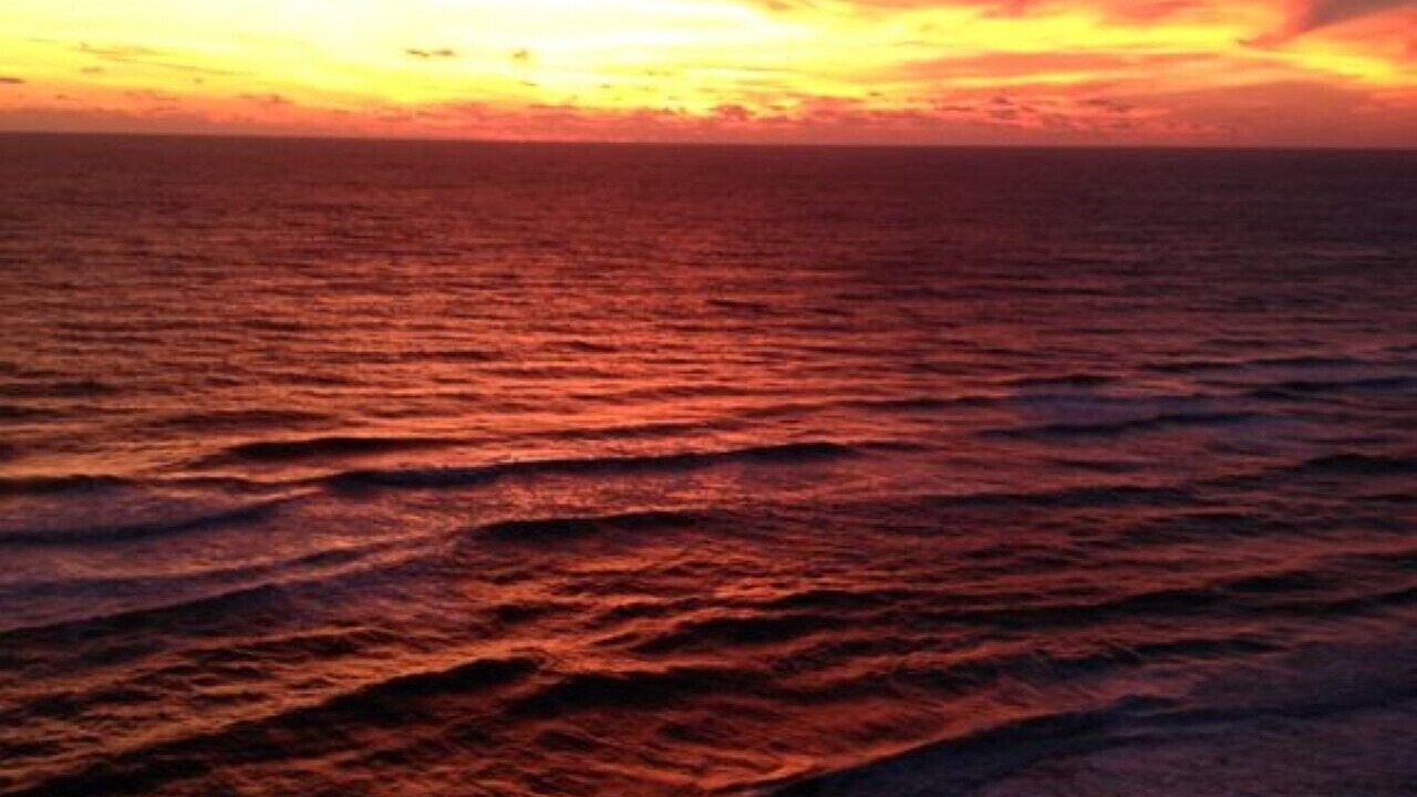 Photo of Others in West Panama City Beach