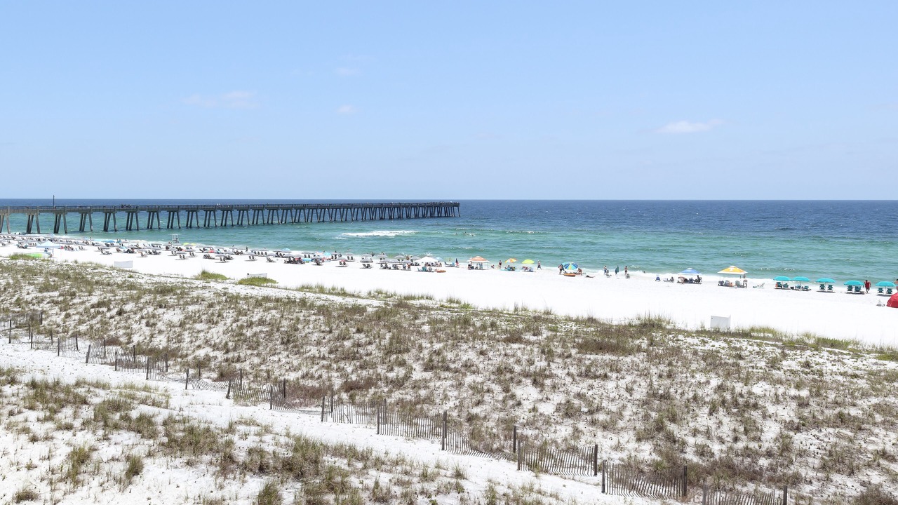 Photo of Others in Navarre Beach