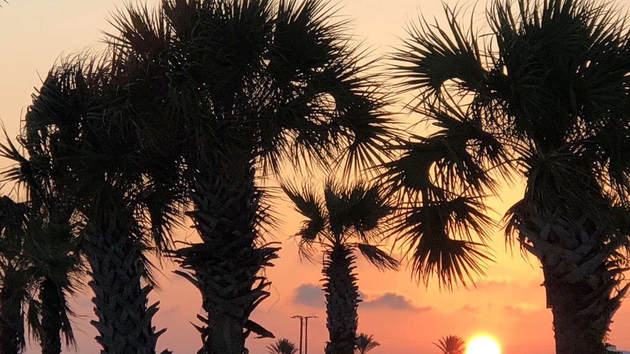 Photo of Others in Biloxi