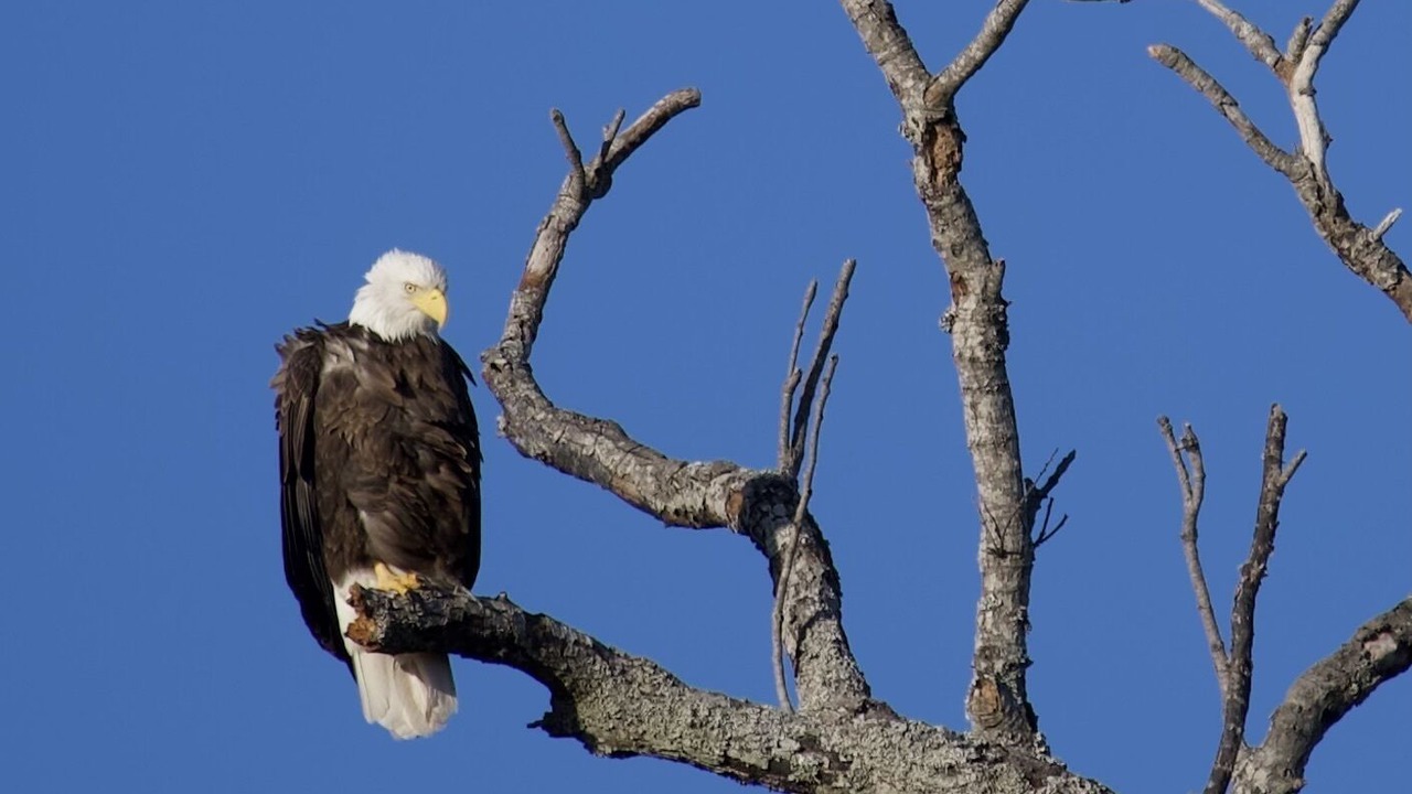 Photo of Others in Jefferson