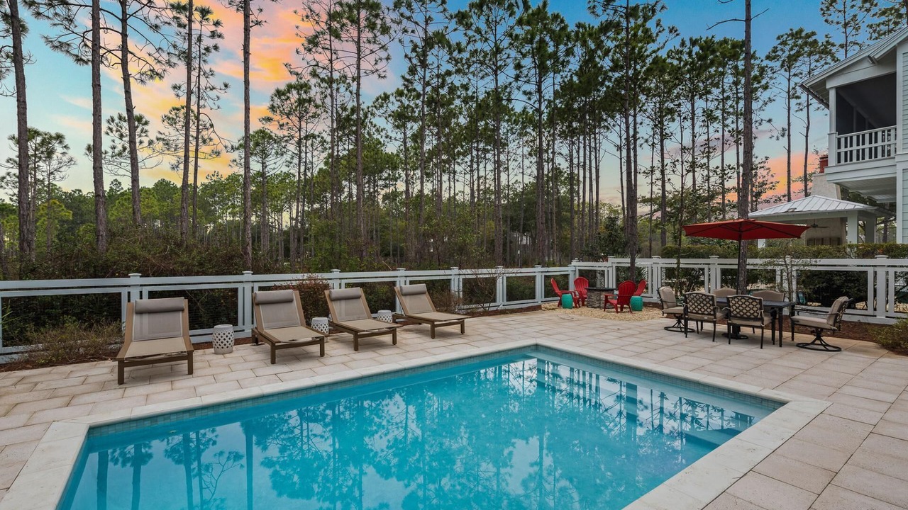 Photo of Outdoor in Forest District