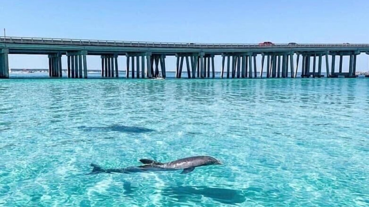 Photo of Outdoor in Ocean City