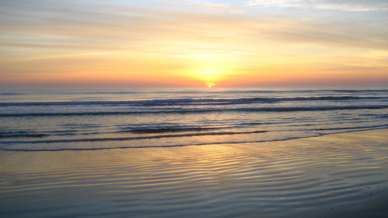 Photo of Others in Daytona Beach Shores