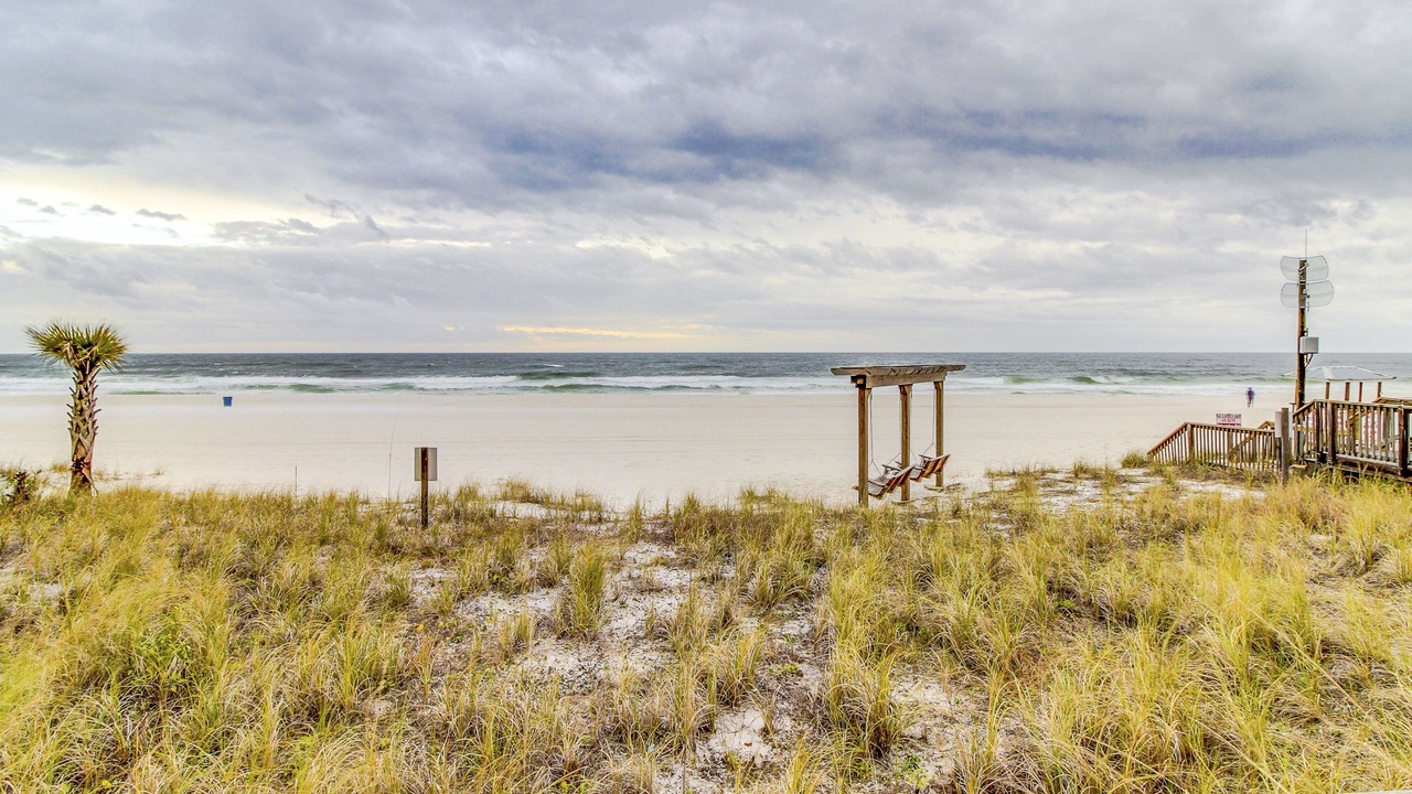 Photo of Others in Panama City Beach
