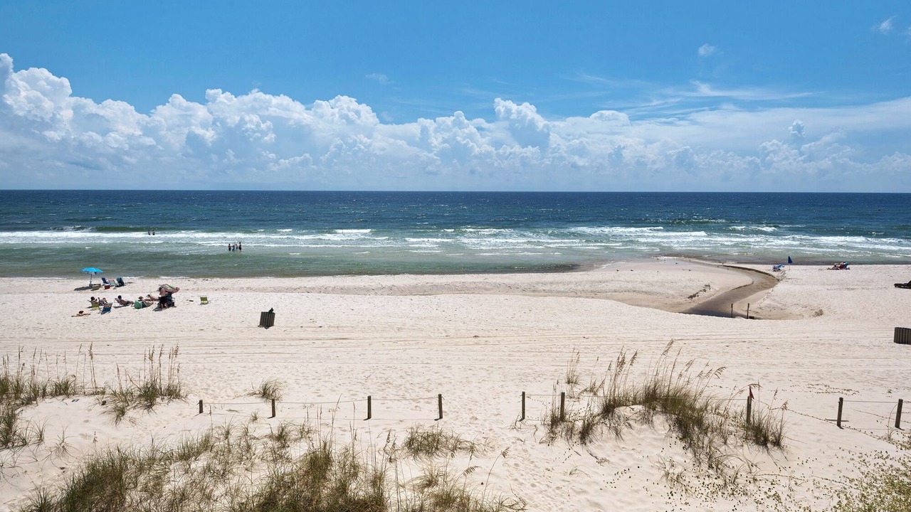 Photo of Others in West Panama City Beach