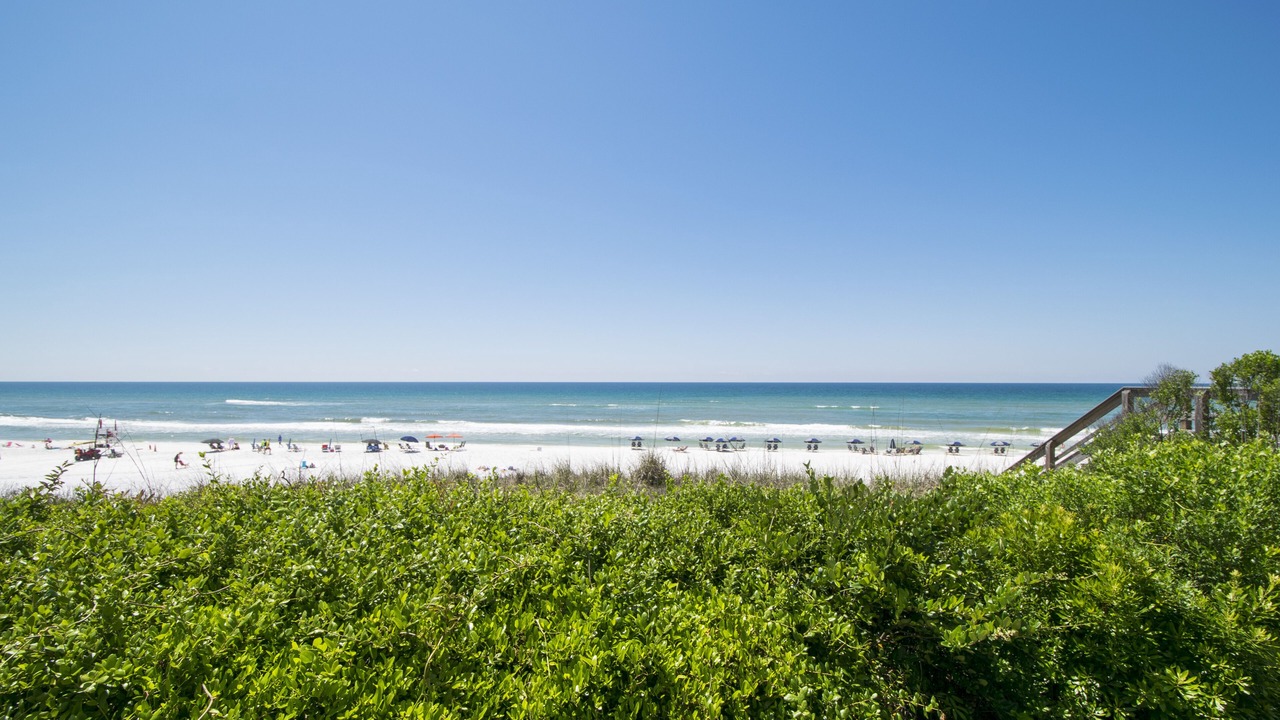 Photo of Others in Gulf Place