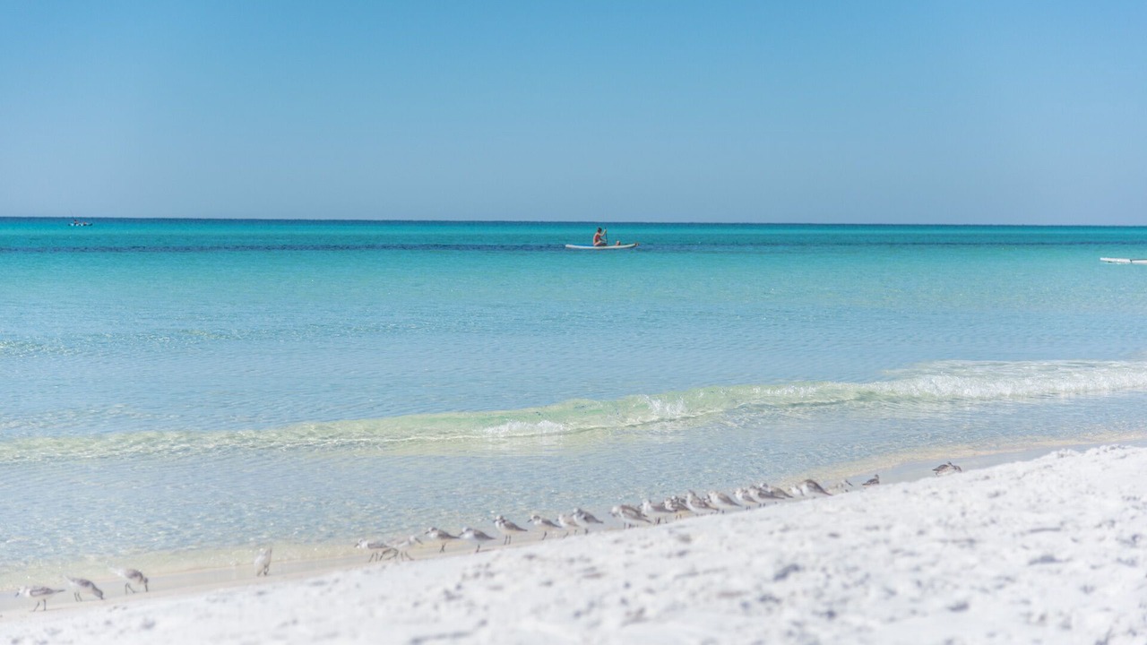 Photo of Others in Gulf Place