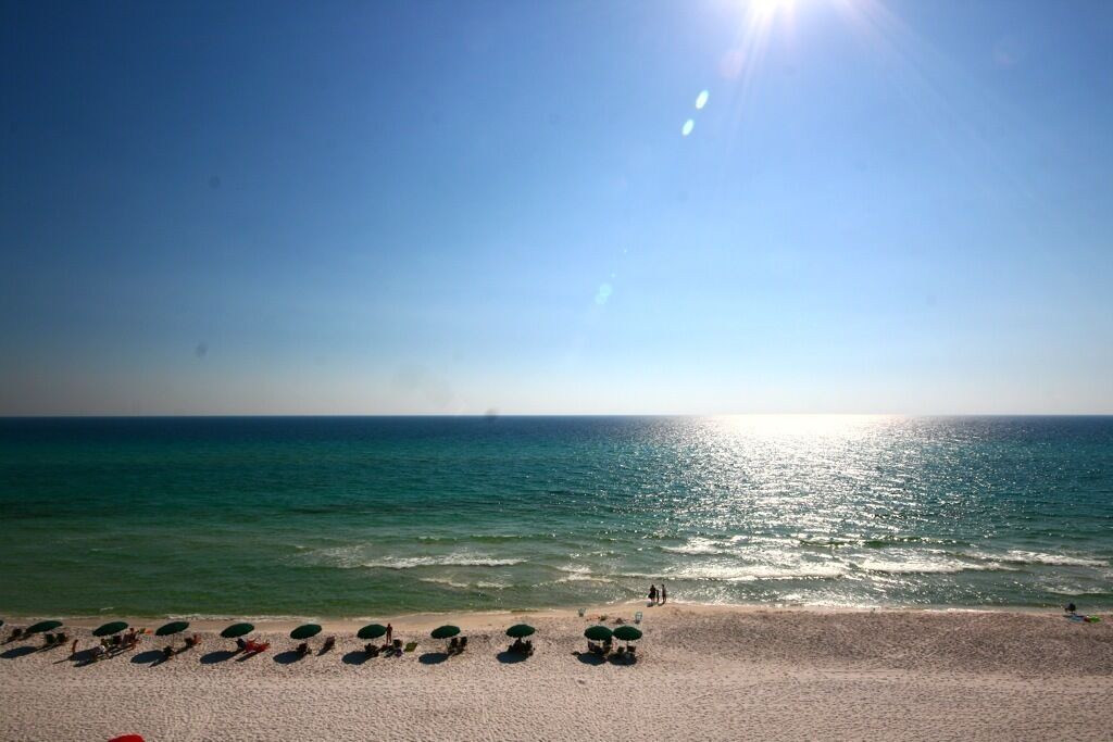 Photo of Others in Gulf Place