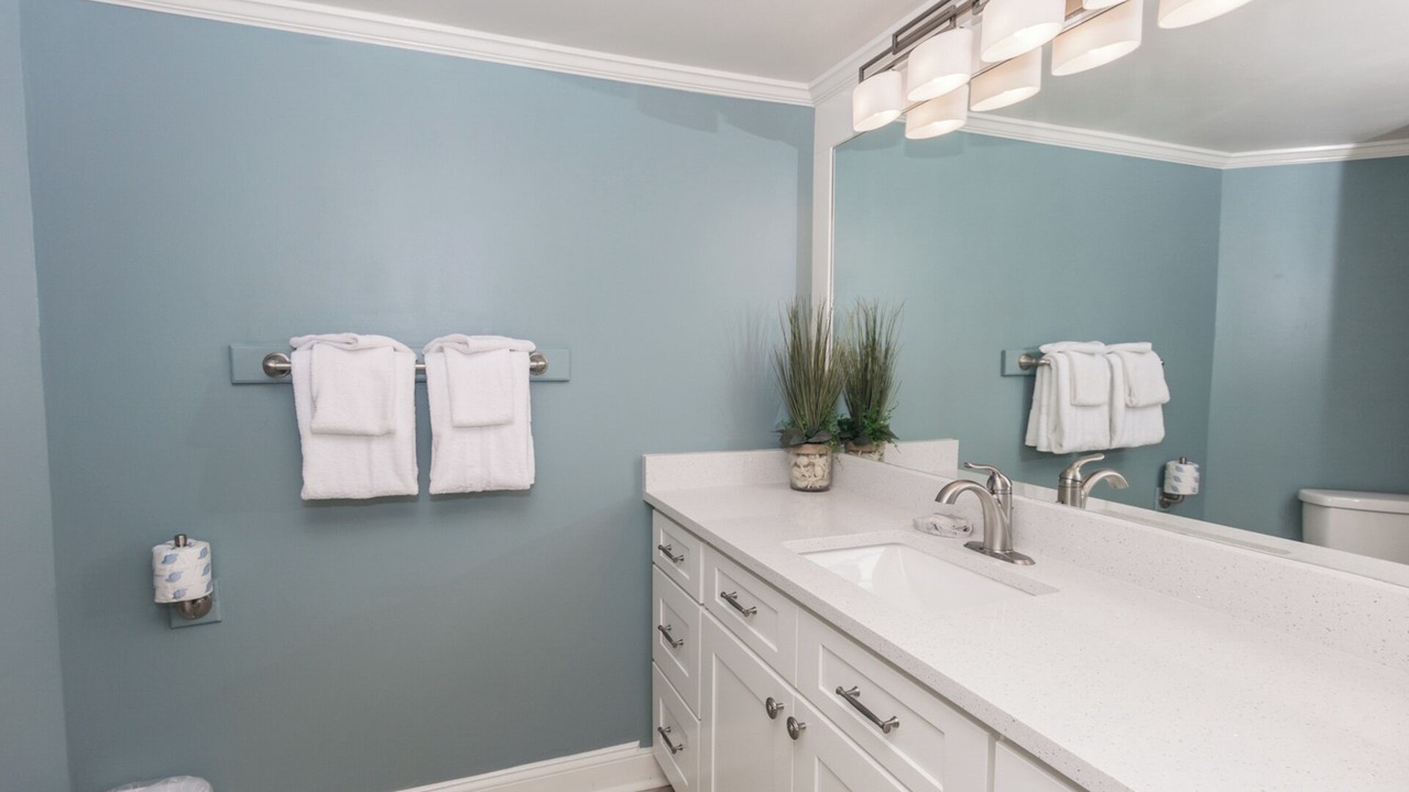 Photo of Bathroom in Gulf Lagoon Beach