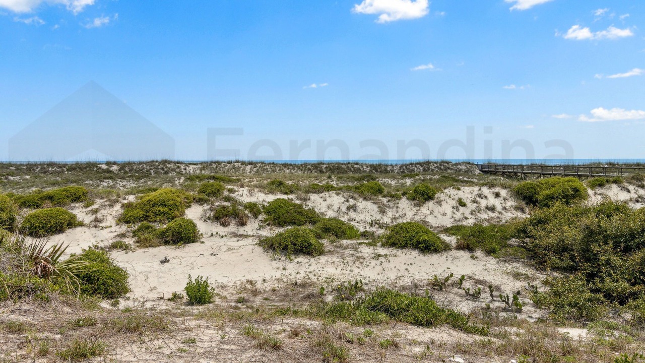 Photo of Others in Fernandina Beach