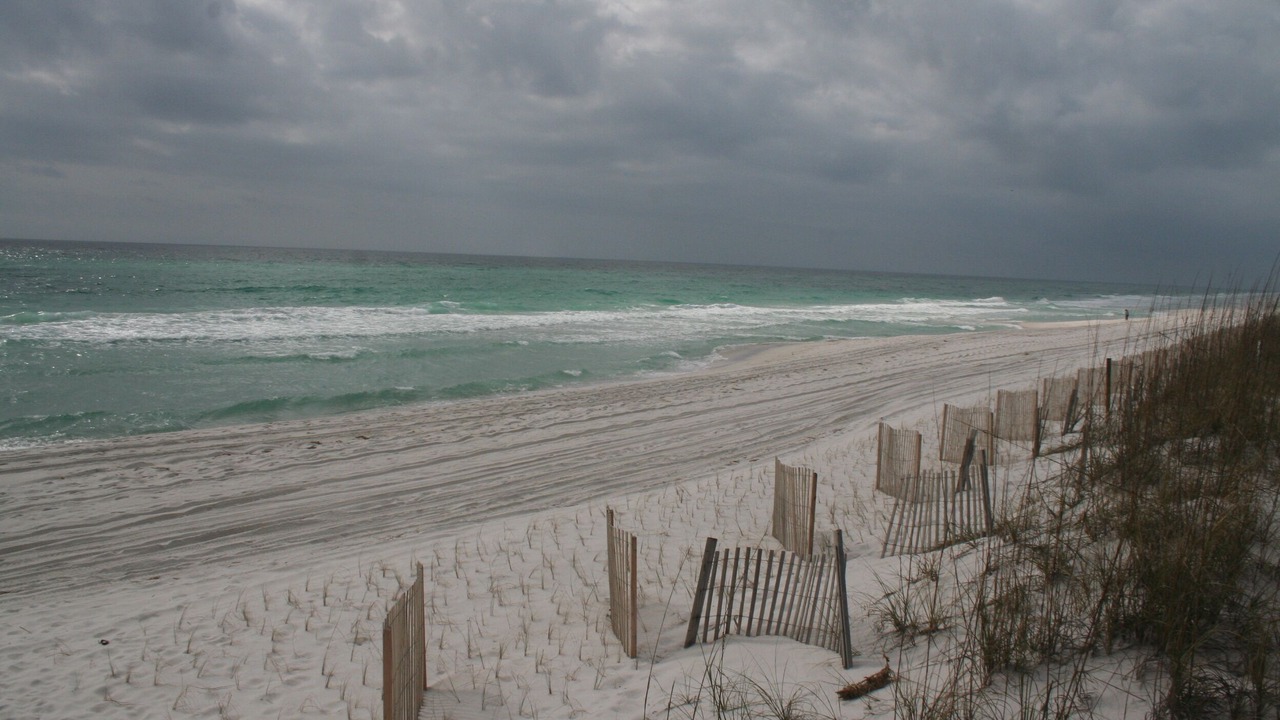 Photo of Others in Pensacola Beach