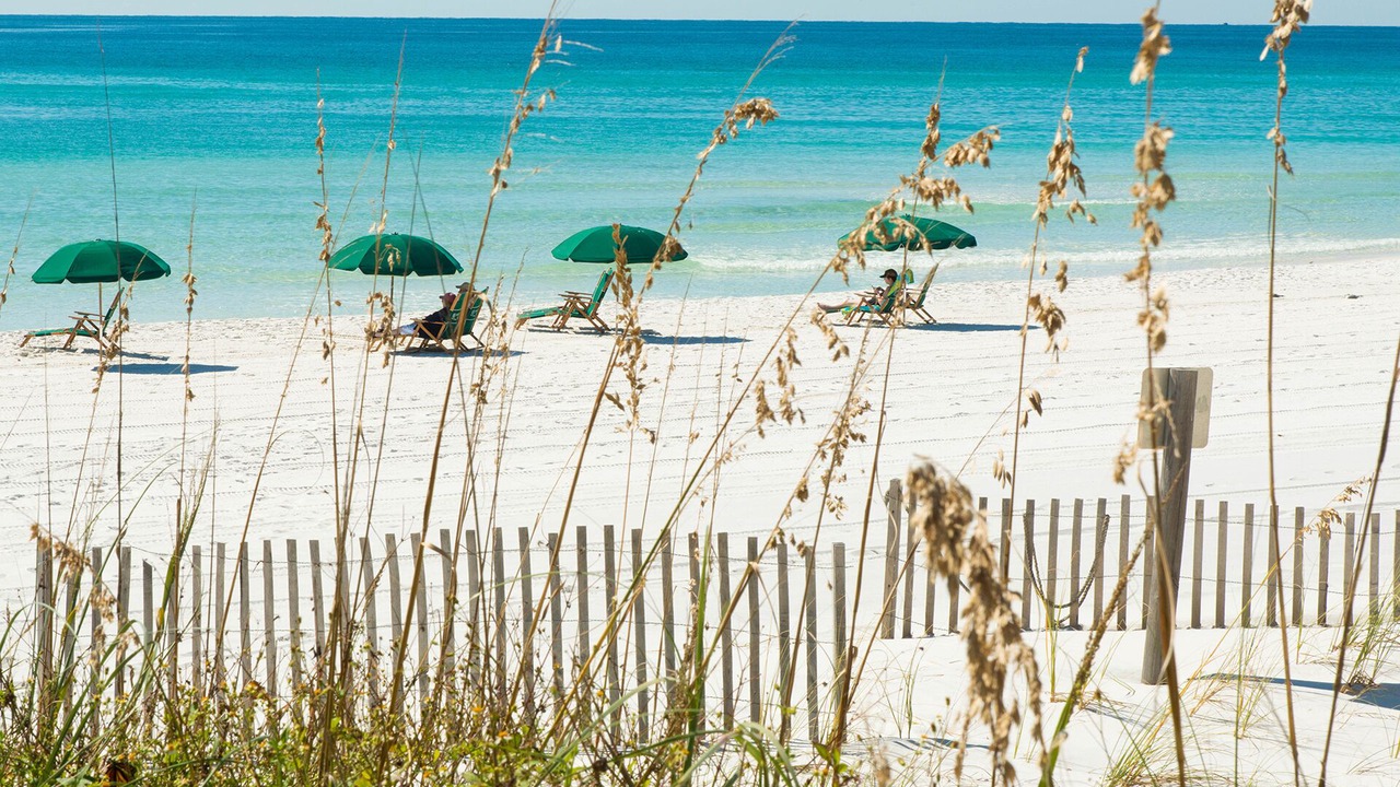 Photo of Others in Fort Walton Beach