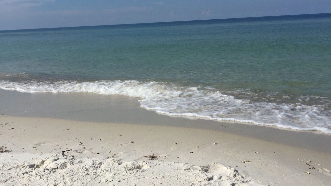 Photo of Others in Cape San Blas