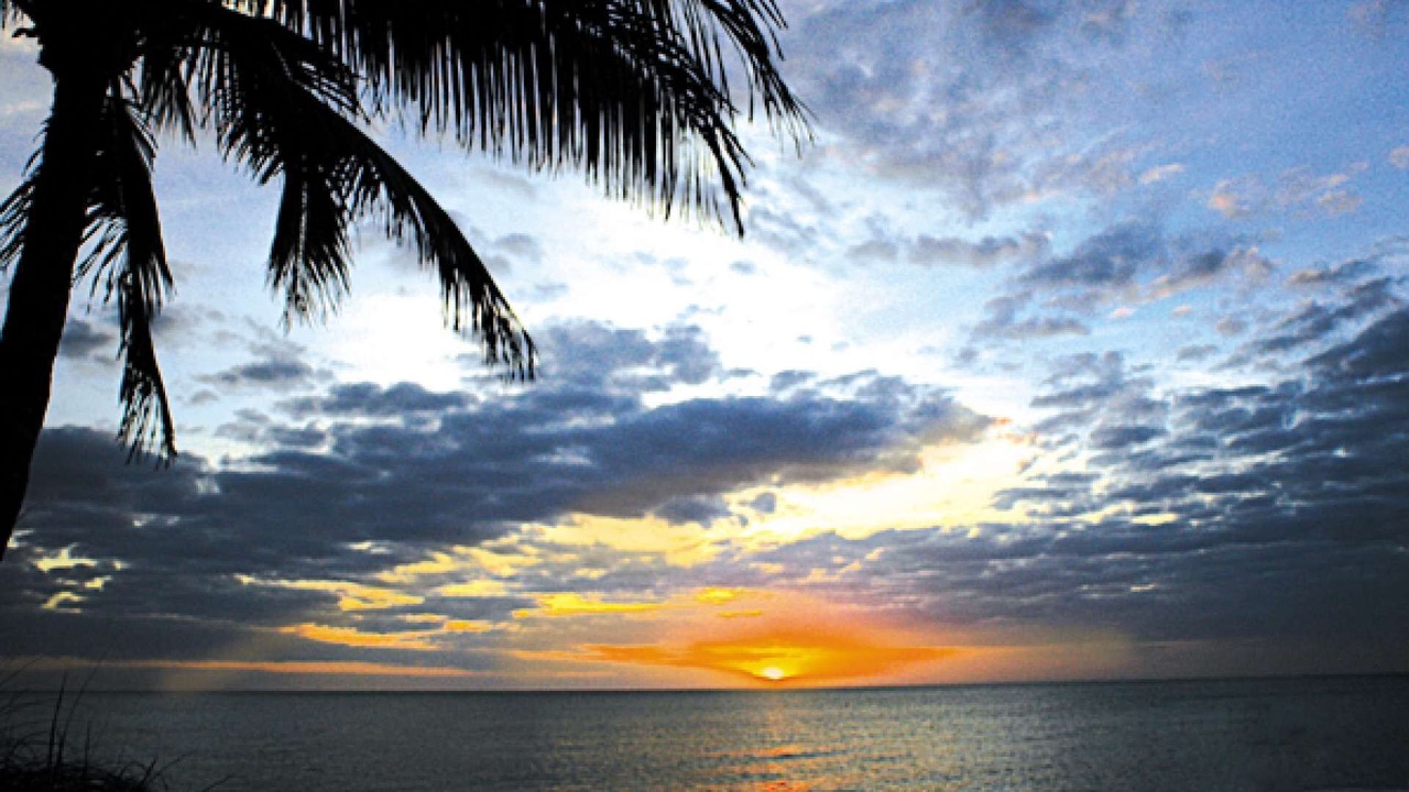 Photo of Others in Coquina Sands