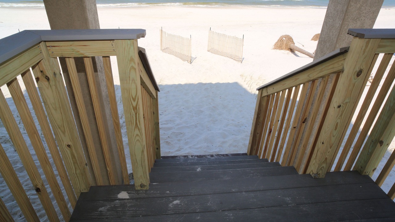 Photo of Outdoor in Cape San Blas