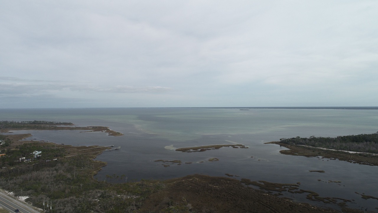 Photo of Others in Cape San Blas
