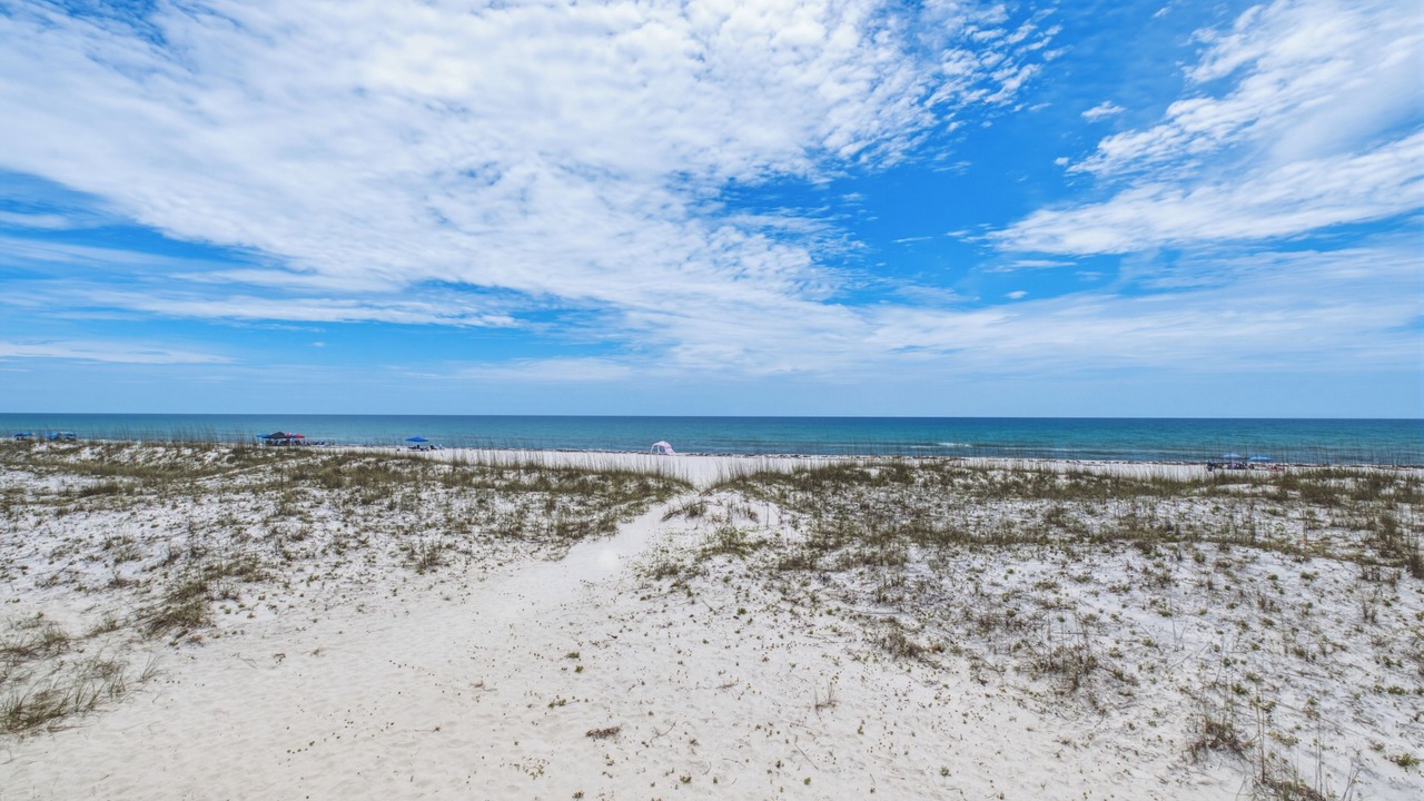 Photo of Others in Pensacola Beach
