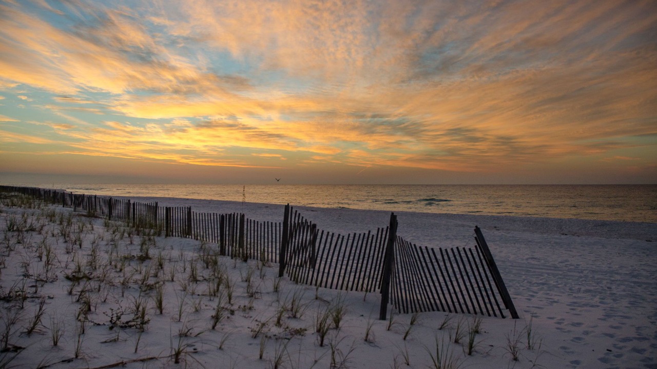 Photo of Others in Pensacola Beach