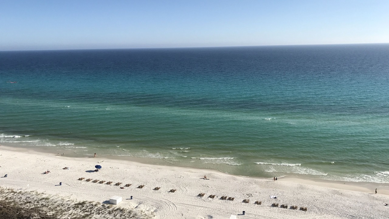 Photo of Others in Gulf Lagoon Beach