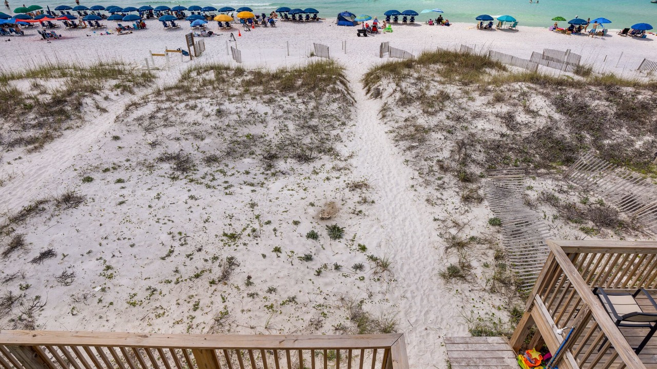 Photo of Others in Fort Walton Beach - Destin