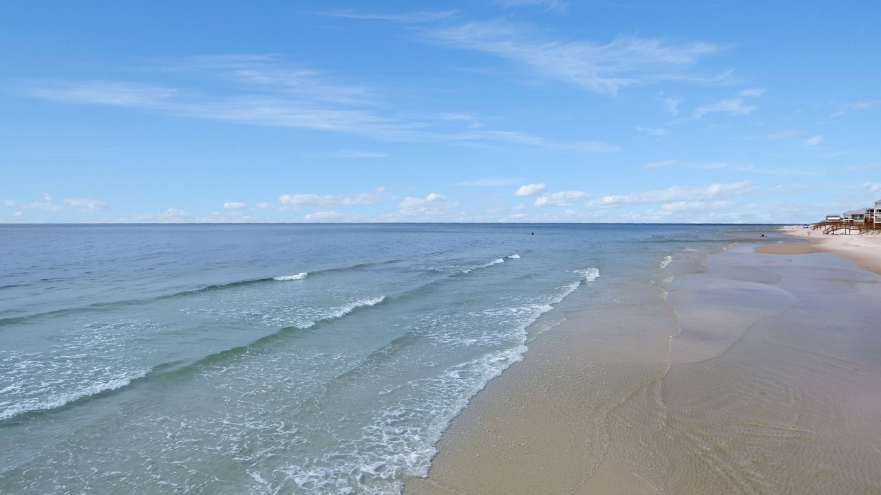 Photo of Others in Cape San Blas