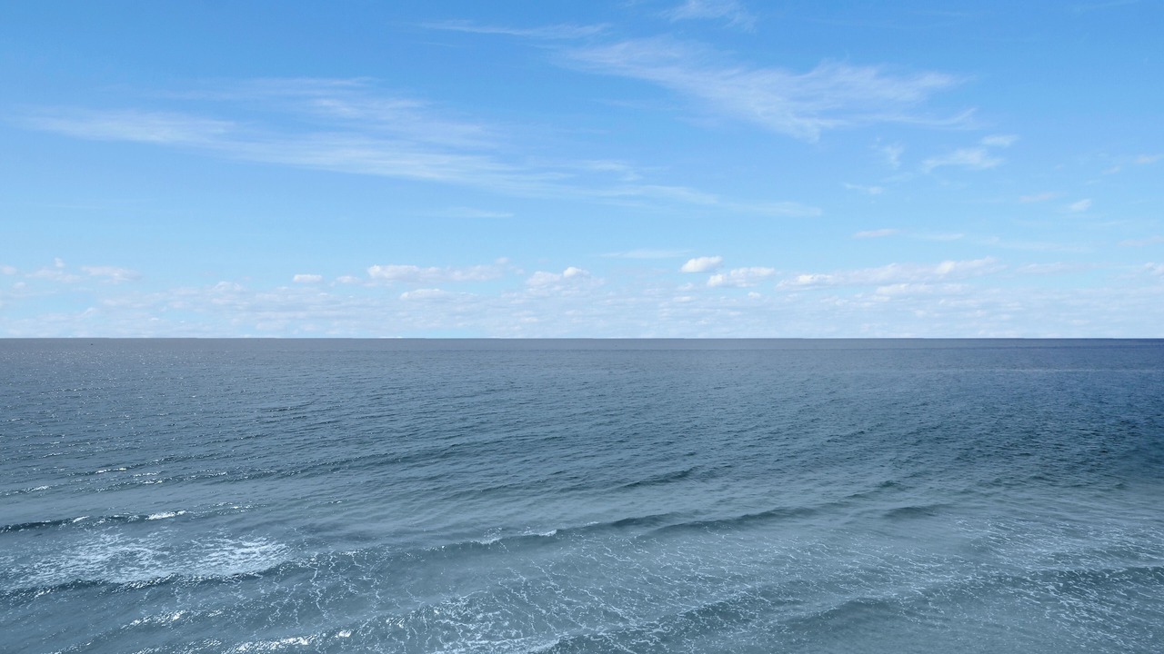 Photo of Others in Cape San Blas