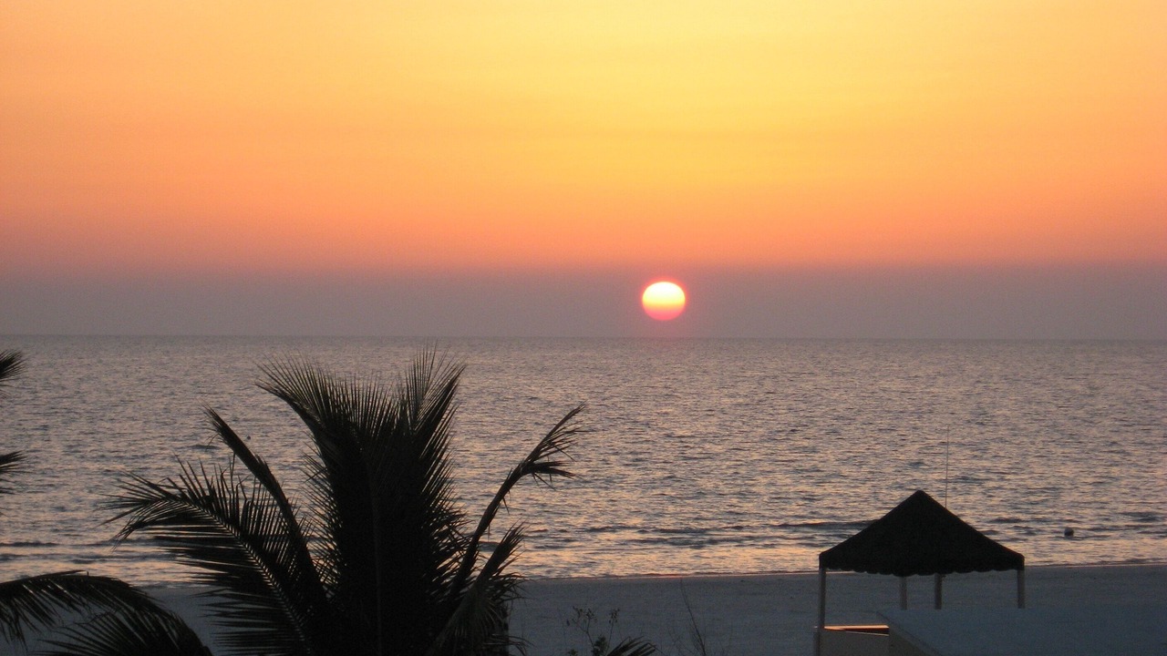 Photo of Others in Marco Island