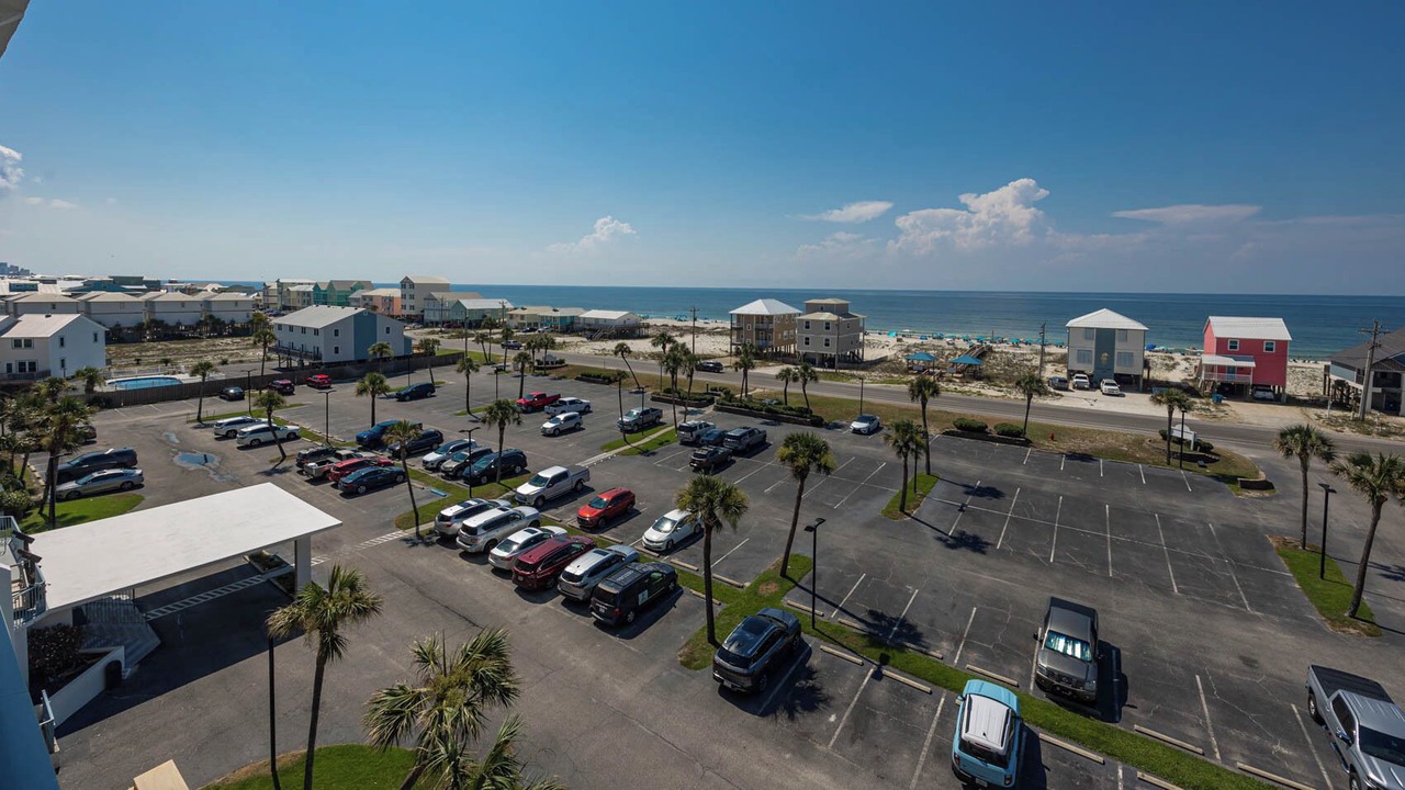Photo of Others in Gulf Shores