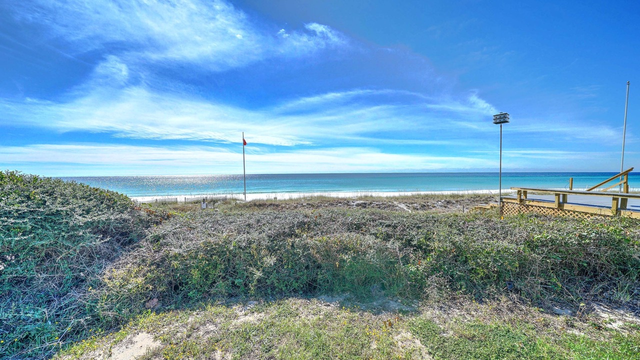 Photo of Others in Kiska Beach