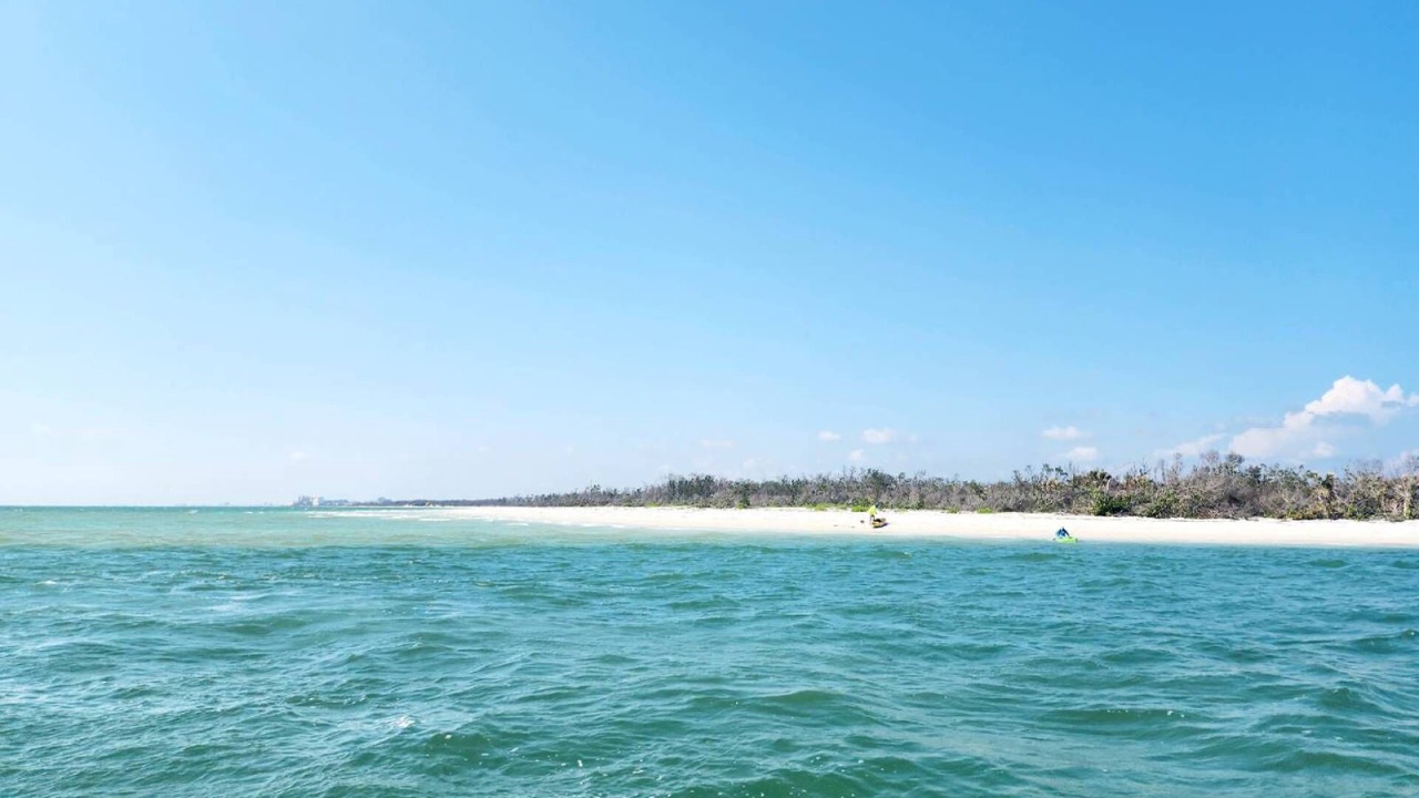 Photo of Others in Bonita Springs