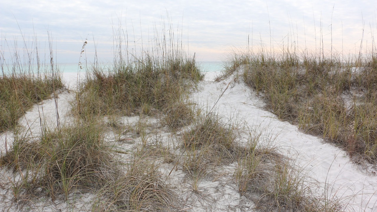 Photo of Others in Lower Grand Lagoon