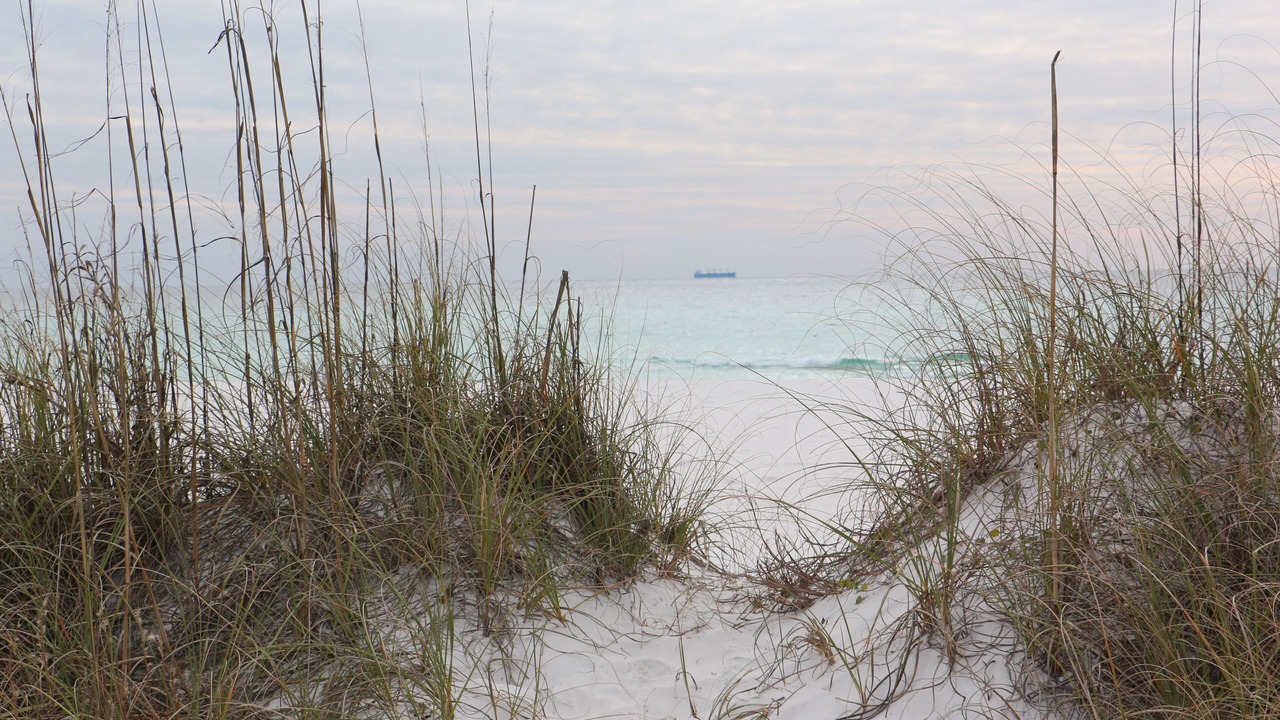 Photo of Others in Lower Grand Lagoon