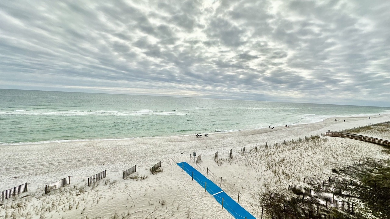 Photo of Others in Gulf Shores