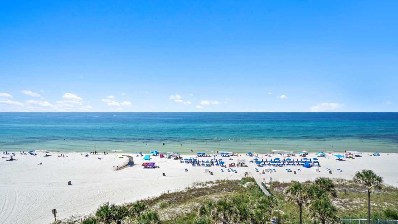 Photo of Others in Panama City Beach
