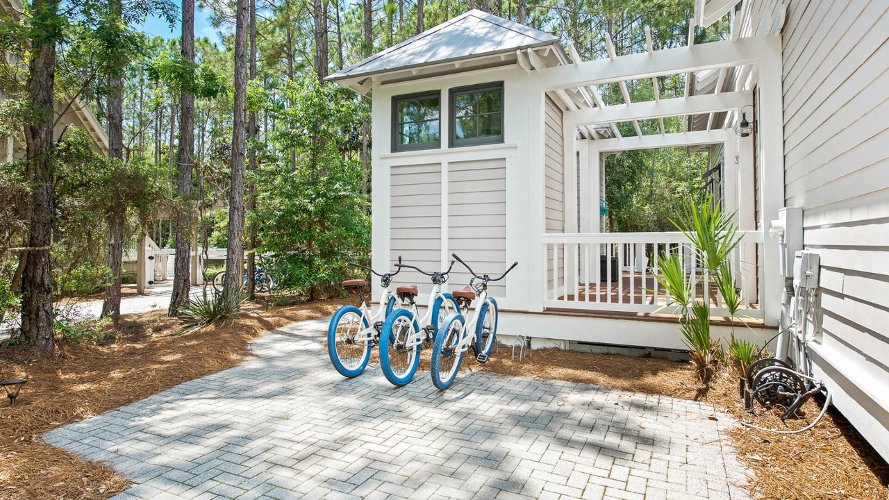 Photo of Outdoor in Forest District