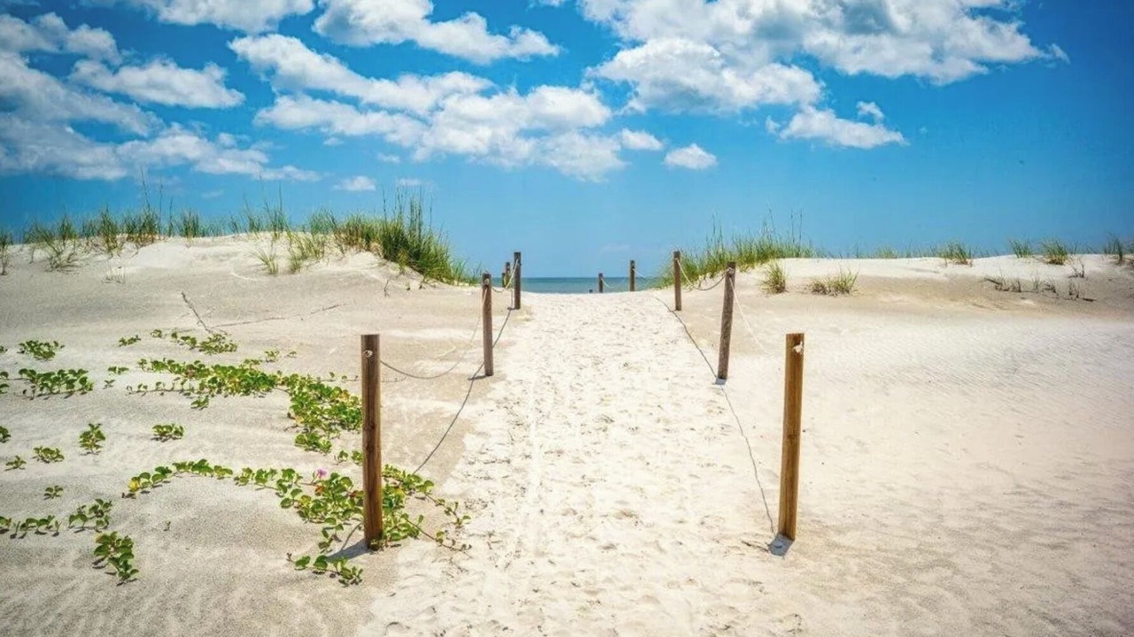 Photo of Others in Butler Beach