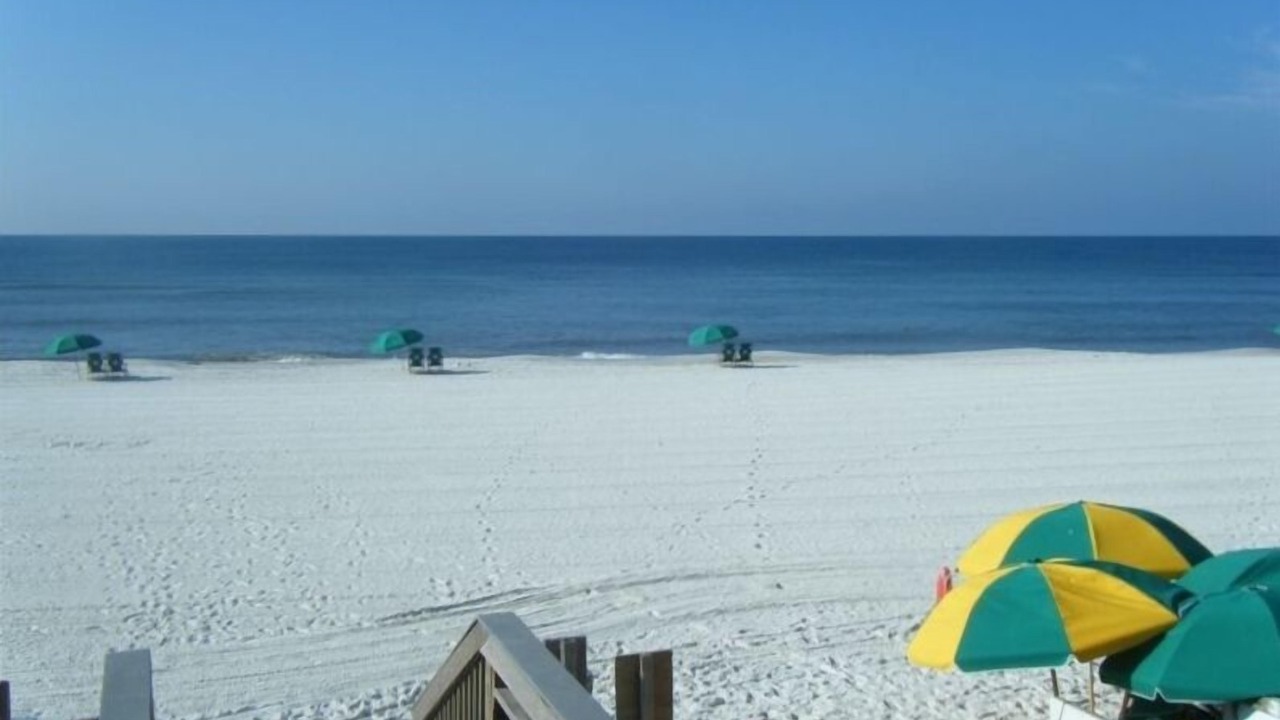 Photo of Others in Gulf Pines