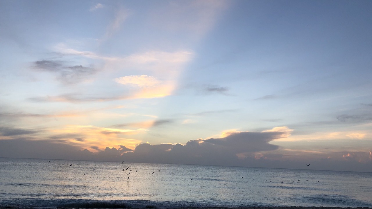 Photo of Others in Stuart