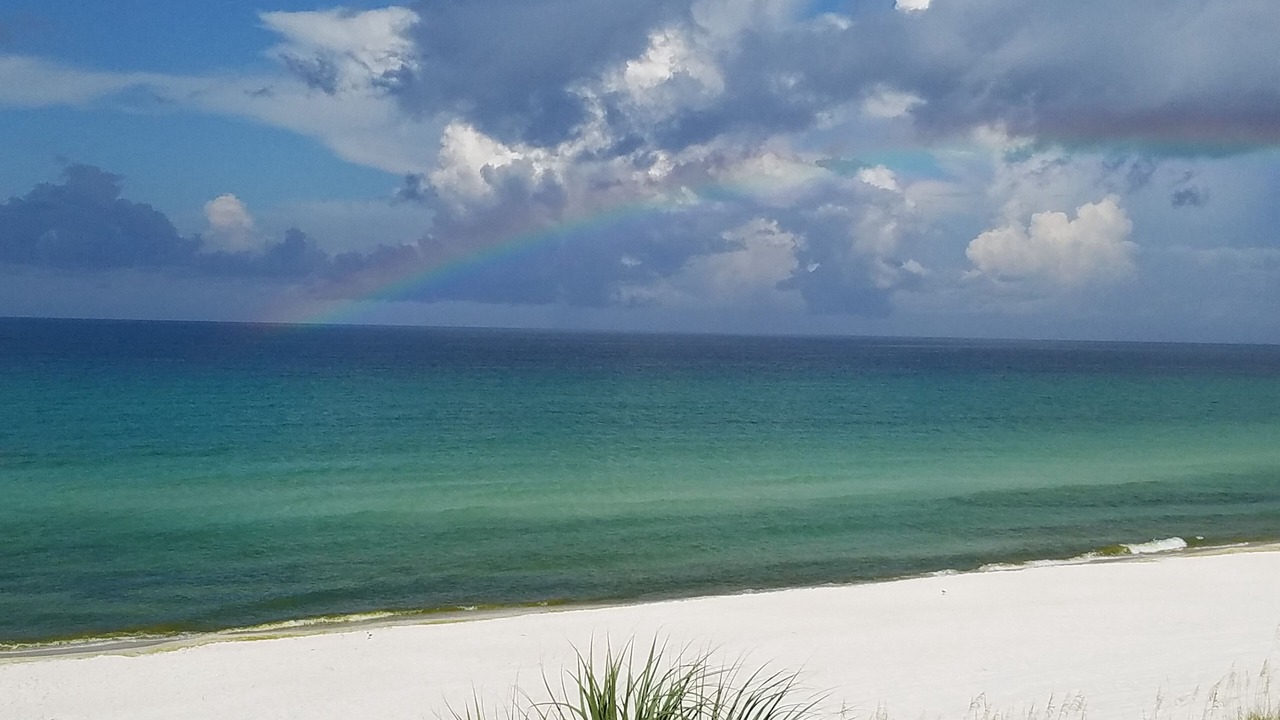 Photo of Others in Panama City Beach