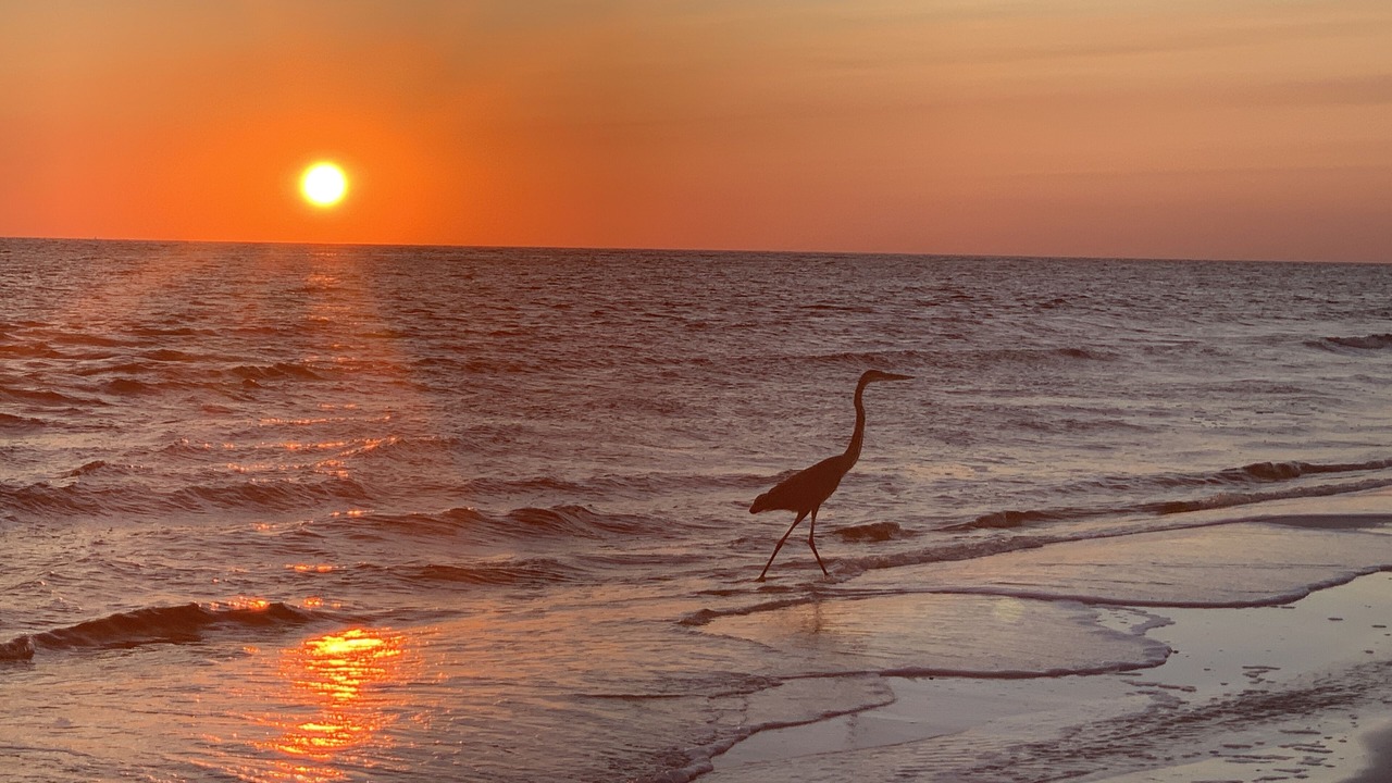 Photo of Others in Lower Grand Lagoon