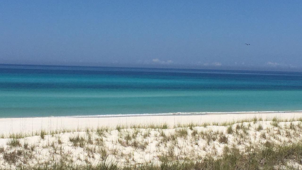 Photo of Others in Lower Grand Lagoon