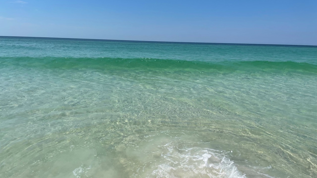Photo of Others in Destin