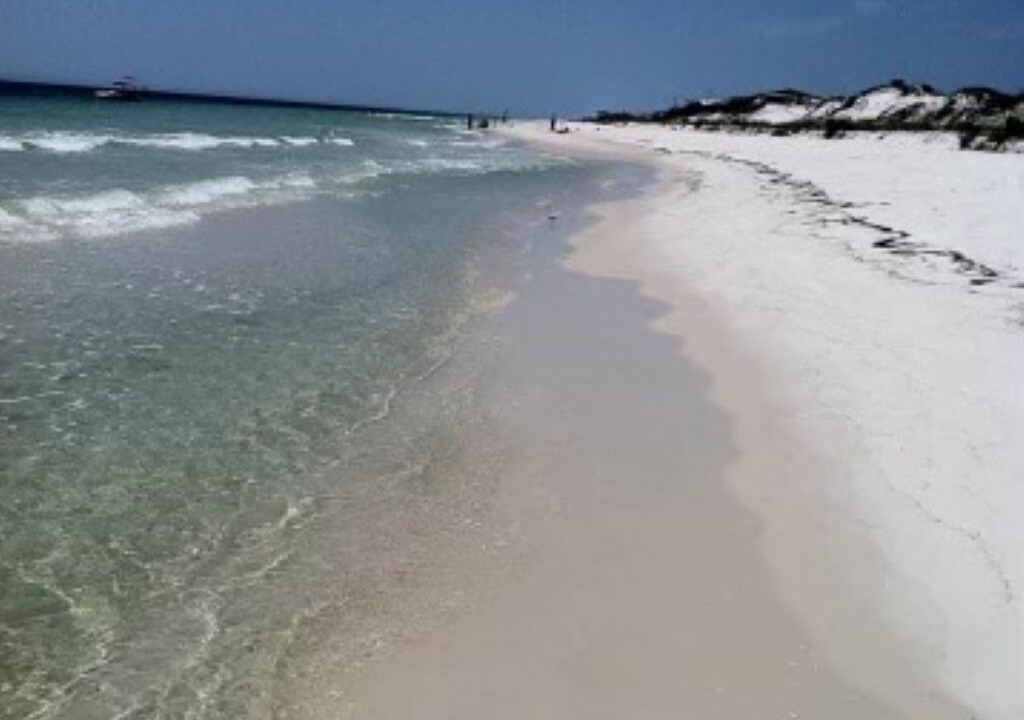 Photo of Others in Alligator Point