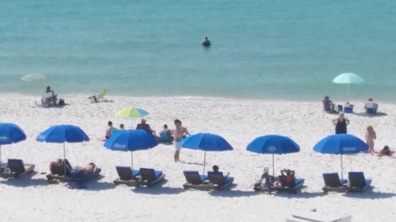 Photo of Others in Panama City Beach