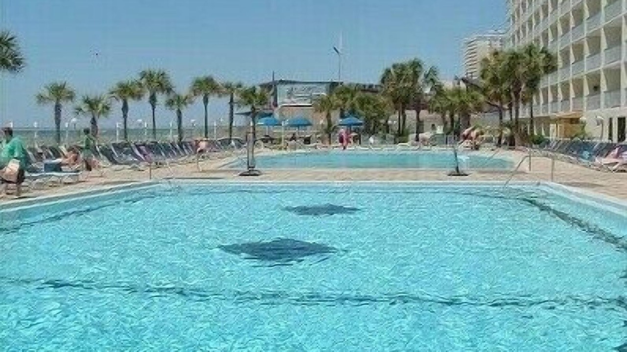 Photo of Others in Panama City Beach