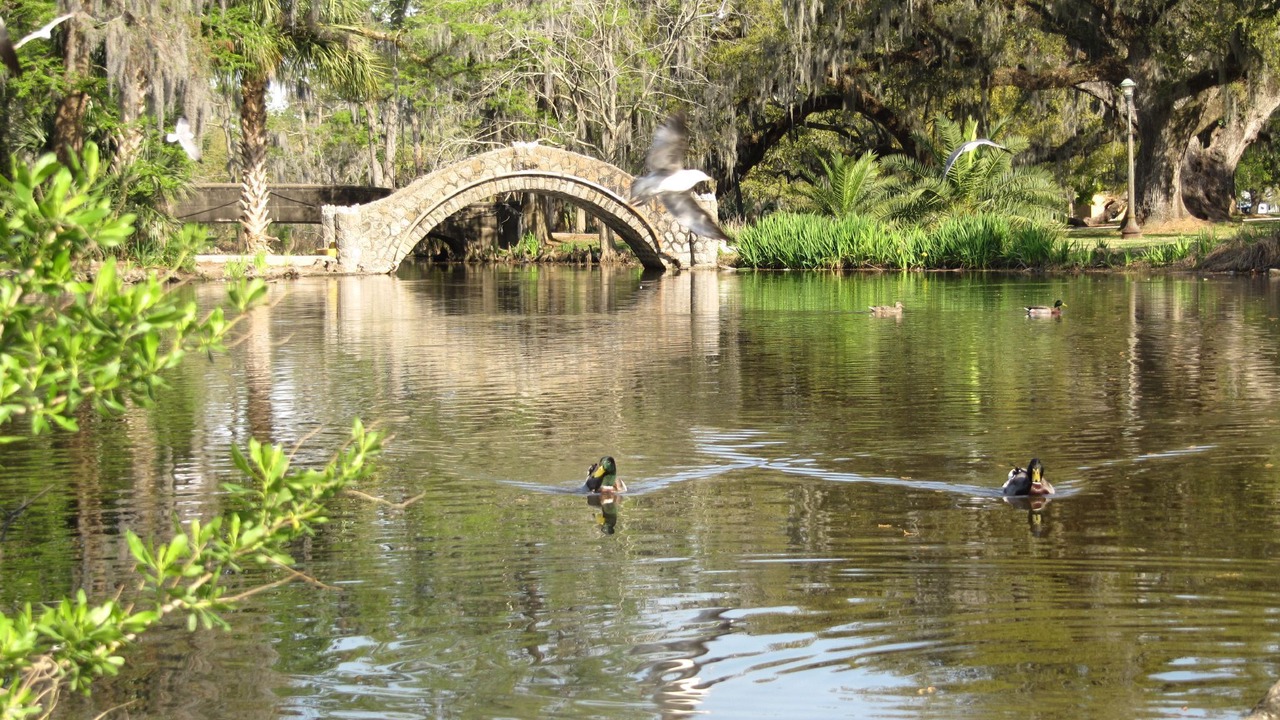 Photo of Others in New Orleans