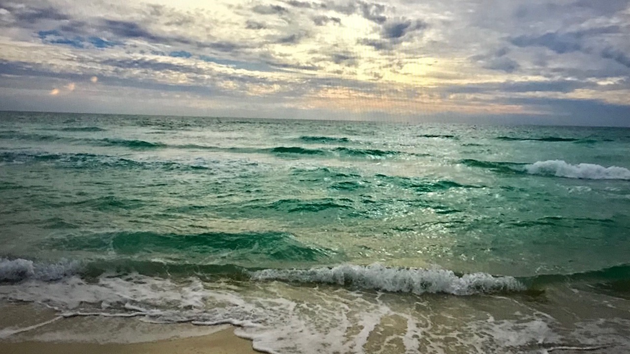 Photo of Others in West Panama City Beach